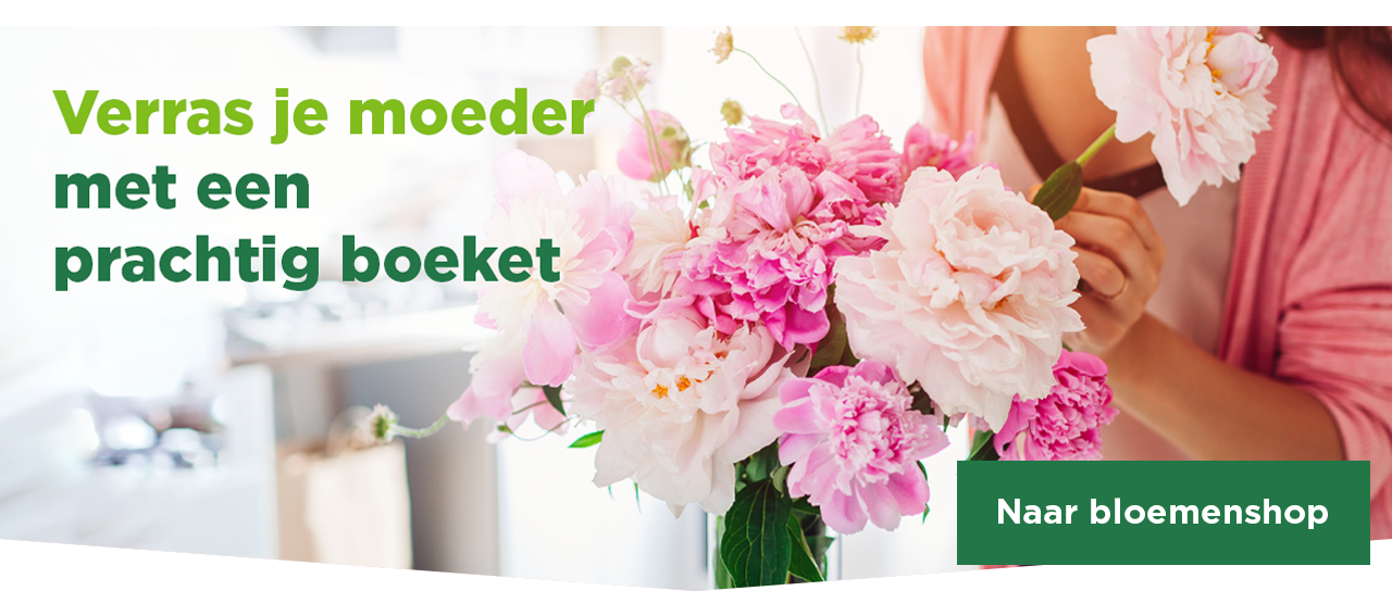 Verras je moeder met een prachtig boeket | Naar bloemenshop
