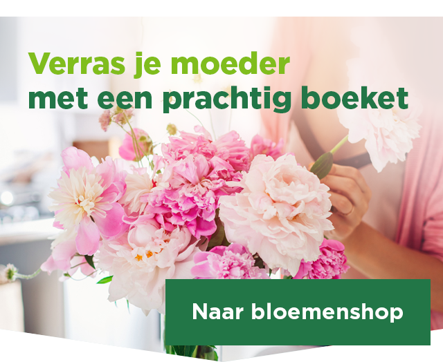 Verras je moeder met een prachtig boeket | Naar bloemenshop