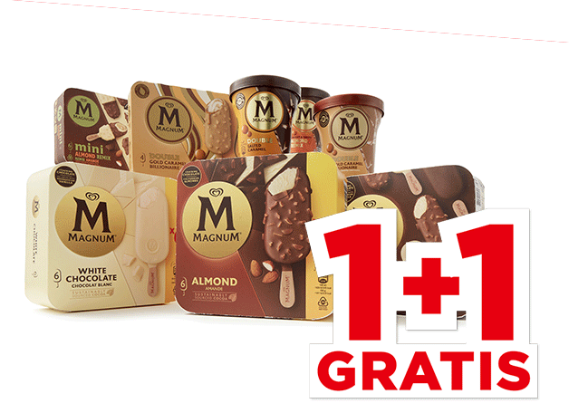 Ola Magnum IJs | Bekijk aanbieding