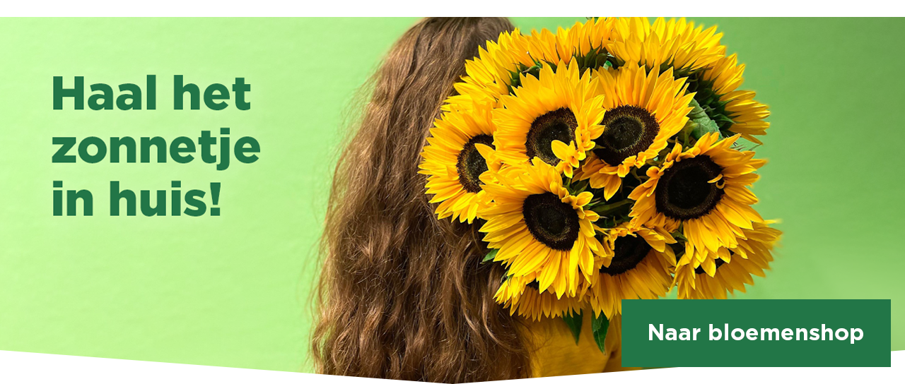 Haal het zonnetje in huis! | Naar bloemenshop