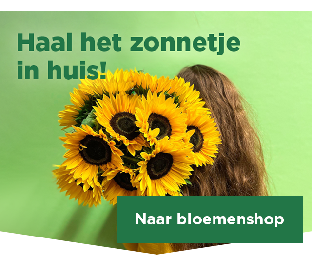 Haal het zonnetje in huis! | Naar bloemenshop