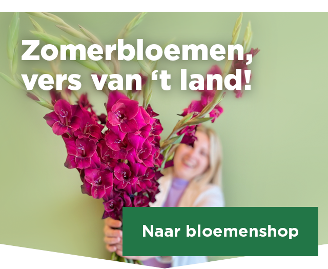 Zomerbloemen, vers van 't land! | Naar bloemenshop