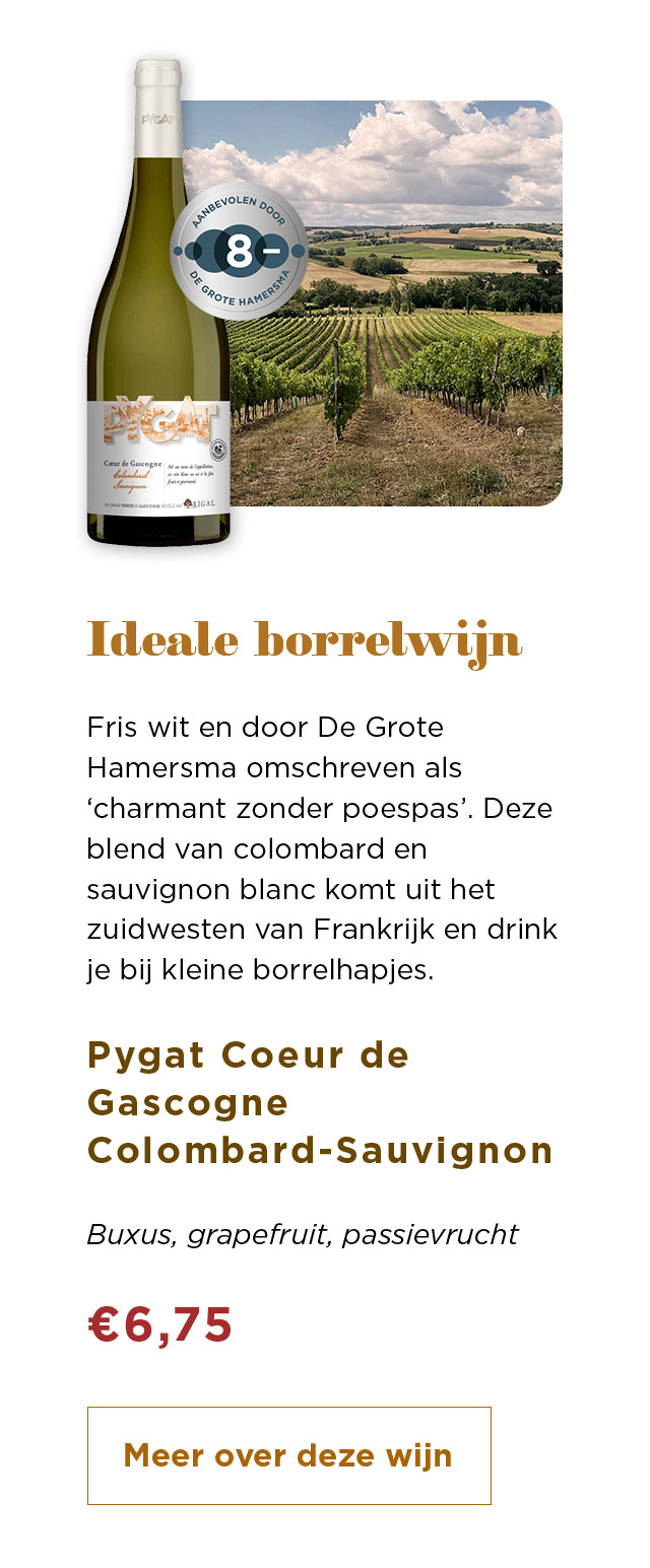 Ideale borrelwijn | Pygat Coeur de Gascogne Colombard-Sauvignon voor € 6,75 | Meer over deze wijn