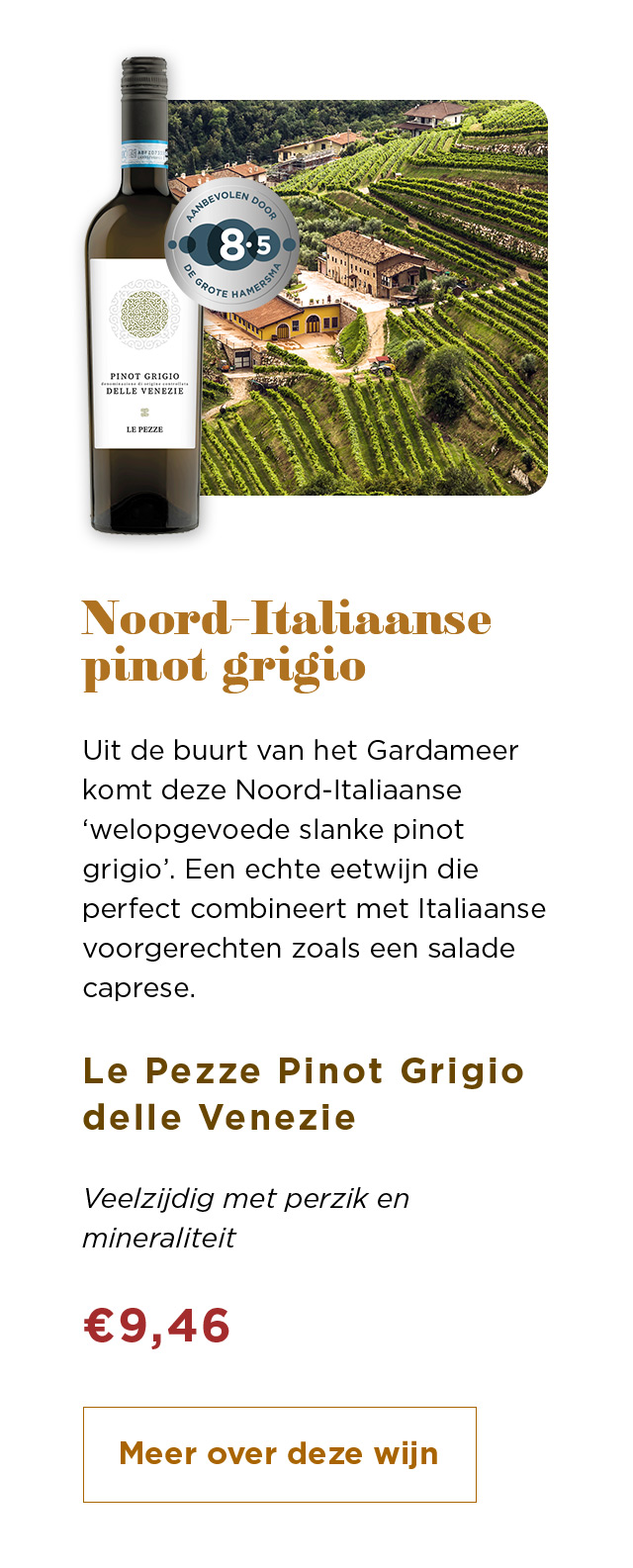 Noord-Italiaanse pinot grigio | Le Pezze Pinot Grigio delle Venezie voor € 9,46 | Meer over deze wijn