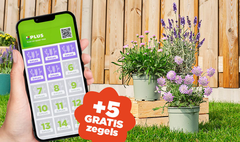Spaar nog sneller met de PLUS app! | Meer info