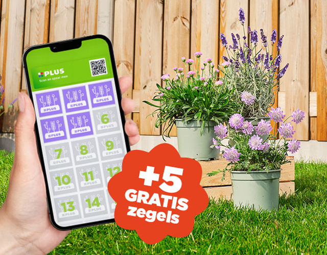 Spaar nog sneller met de PLUS app! | Meer info