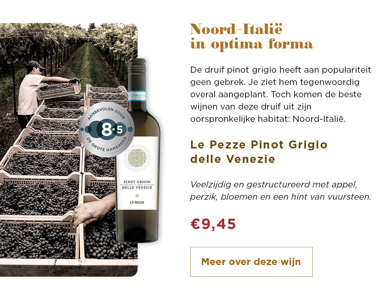 Noord-Italie in optima forma | Le Pezze Pinot Grigio delle Venezie voor € 9,45 | Meer over deze wijn