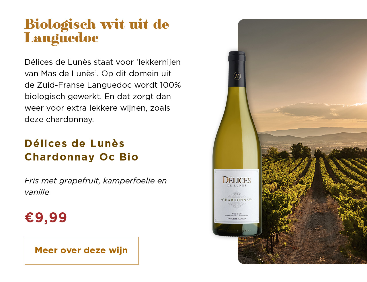 Biologisch wit uit de Languedoc | Délices de Lunès Chardonnay Oc Bio voor € 9,99 | Meer over deze wijn