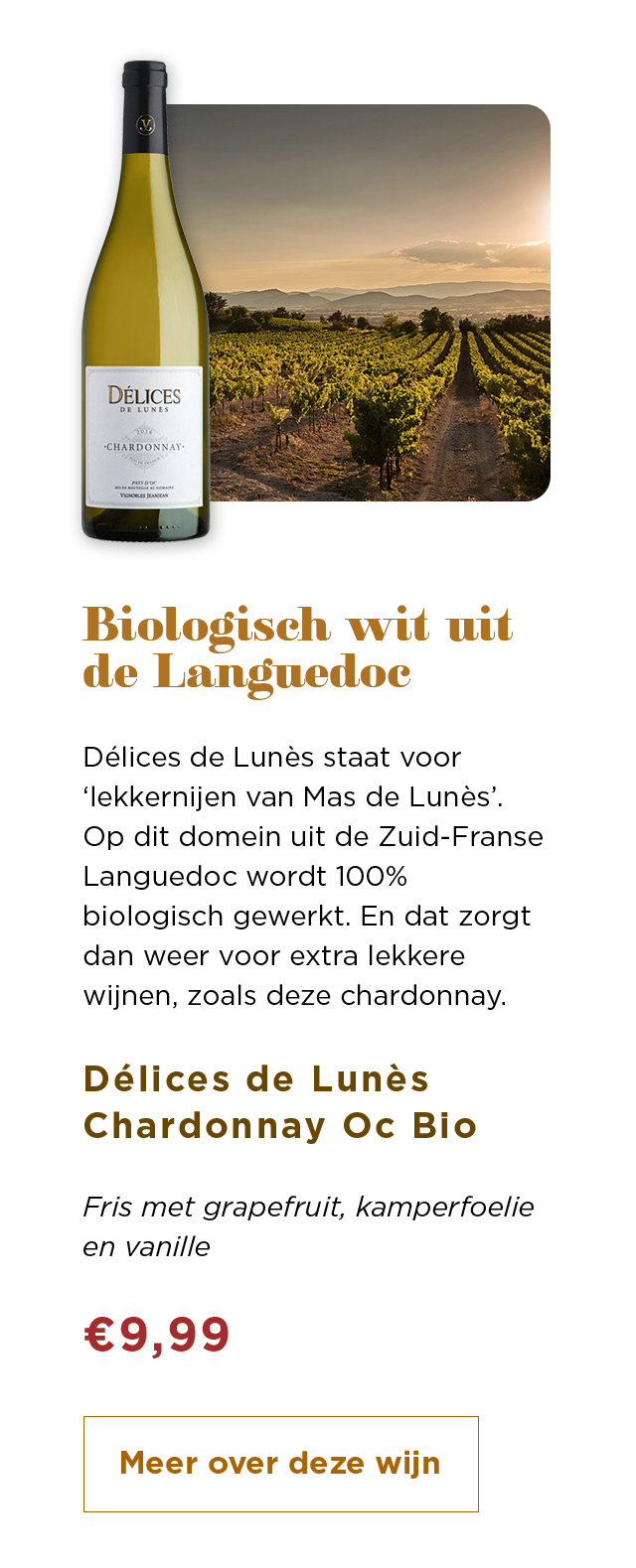 Biologisch wit uit de Languedoc | Délices de Lunès Chardonnay Oc Bio voor € 9,99 | Meer over deze wijn