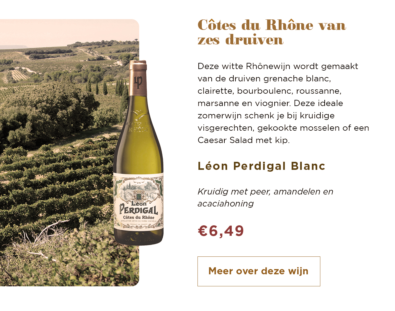 Côtes du Rhône van zes druiven | Léon Perdigal Blanc | Meer over deze wijn