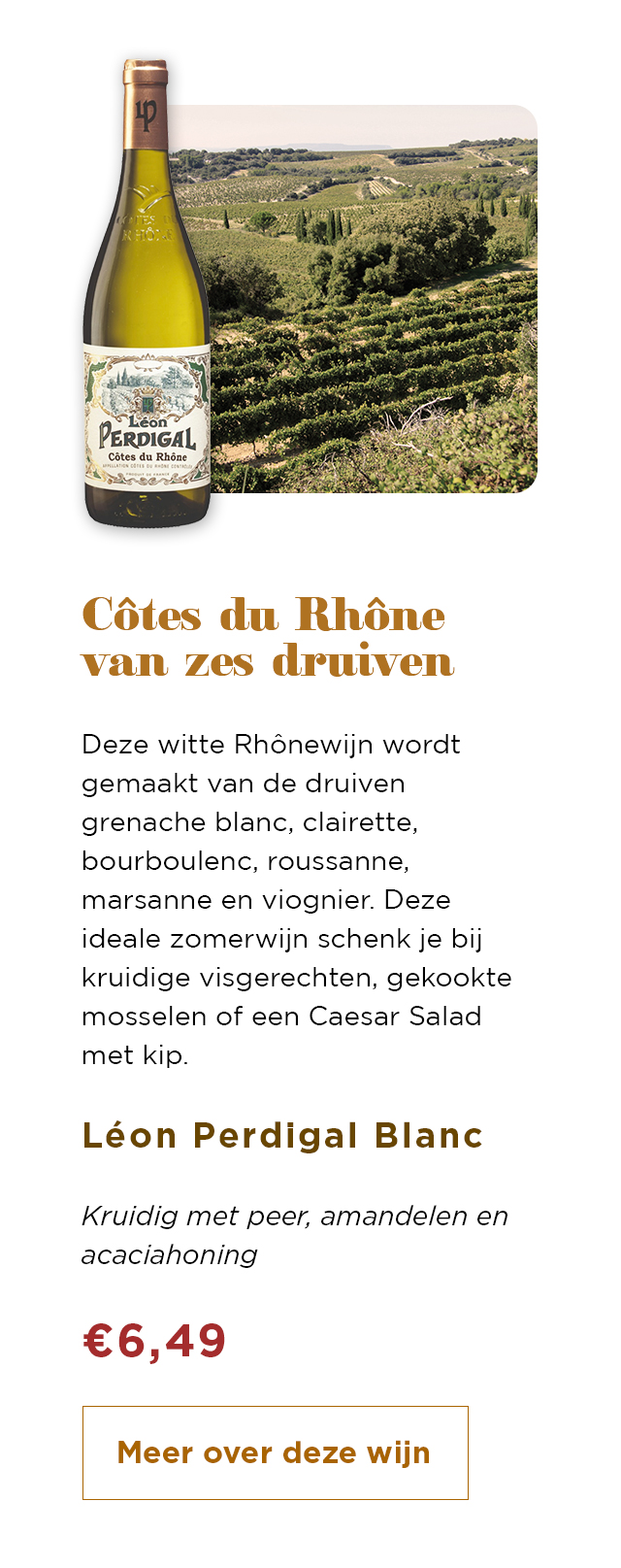Côtes du Rhône van zes druiven | Léon Perdigal Blanc | Meer over deze wijn