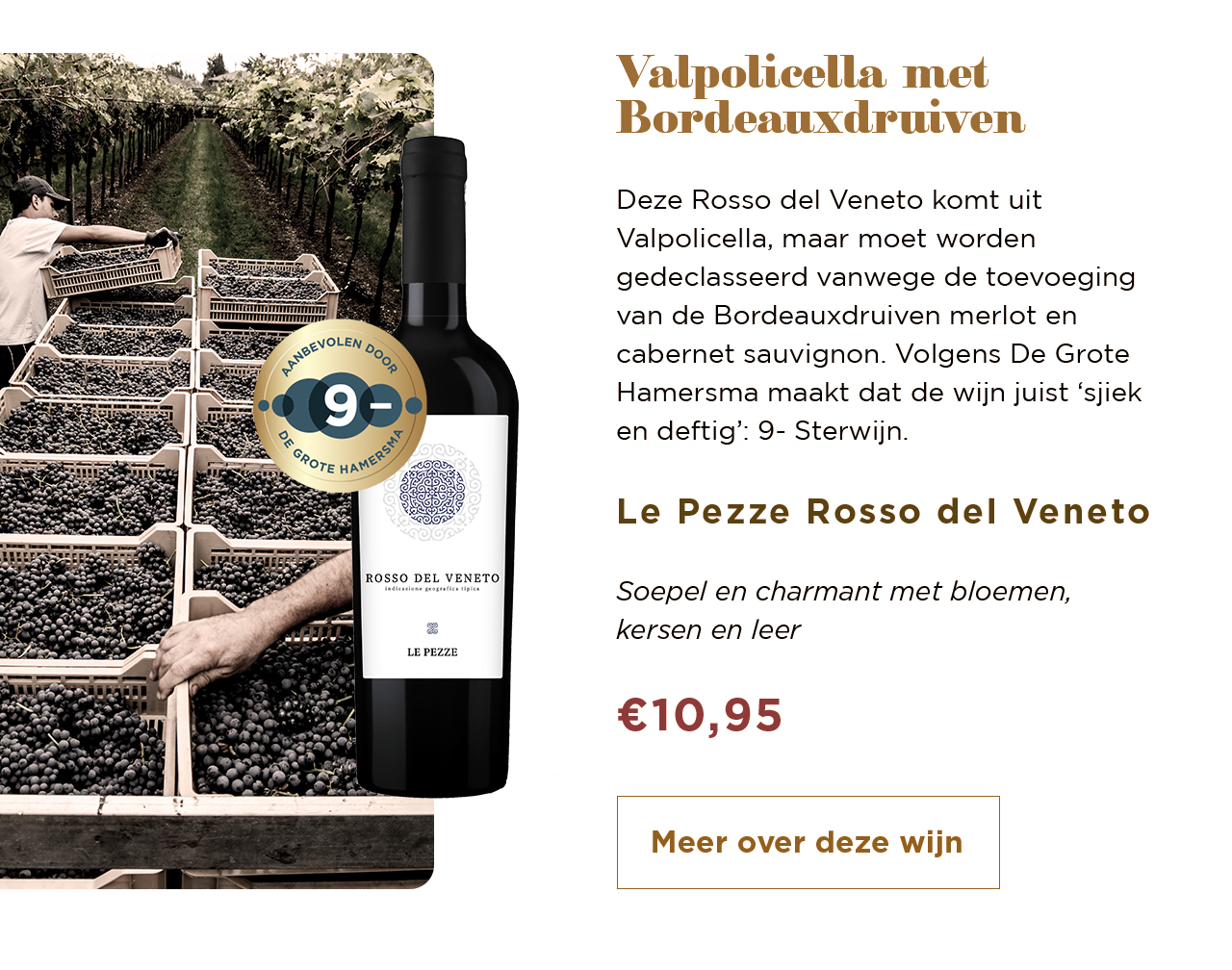 Valpolicella met Bordeauxdruiven | Le Pezze Rosso del Veneto | Meer over deze wijn