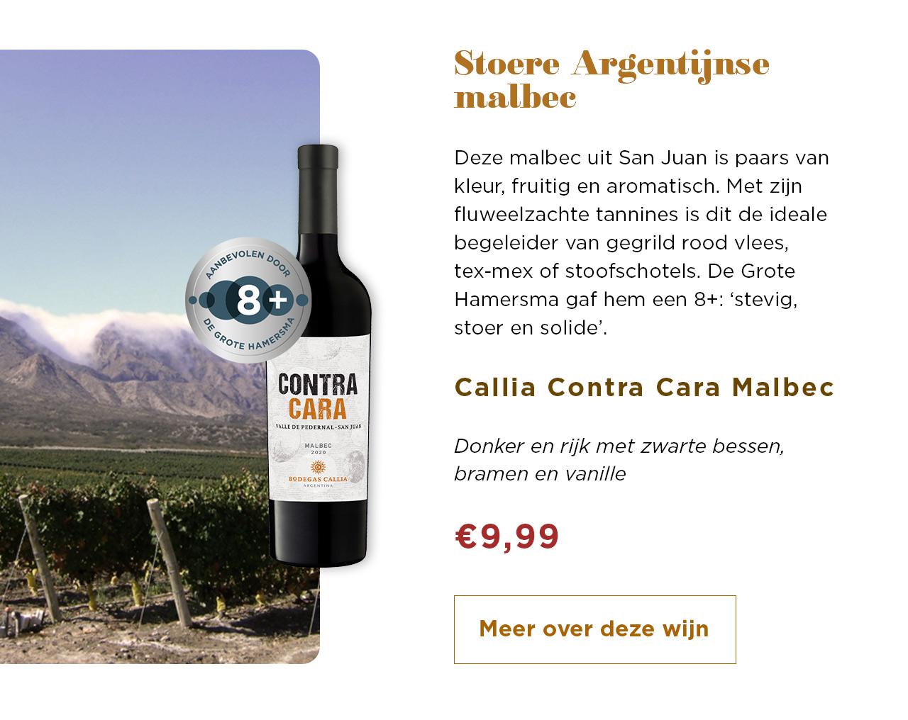Stoere Argentijnse Malbec | Meer over deze wijn