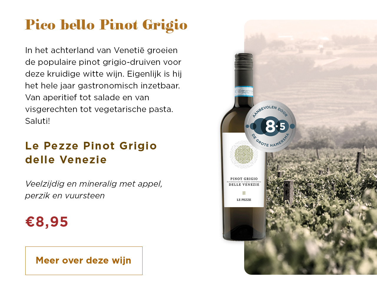 Pico bello Pinot Grigio | Meer over deze wijn