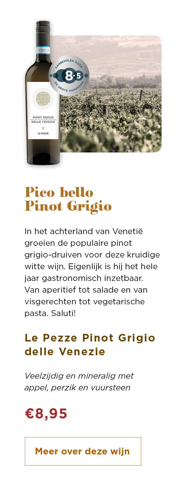 Pico bello Pinot Grigio | Meer over deze wijn
