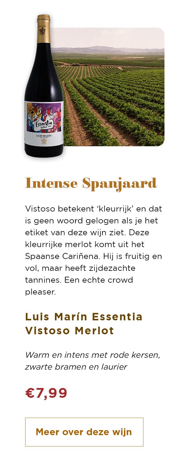 Intense Spanjaard | Meer over deze wijn