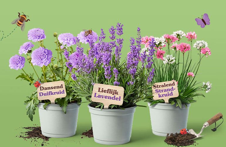 Plantjesplezier!