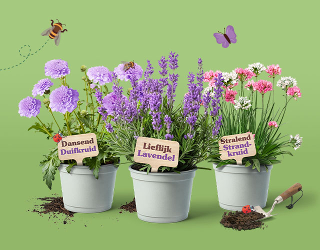 Plantjesplezier!
