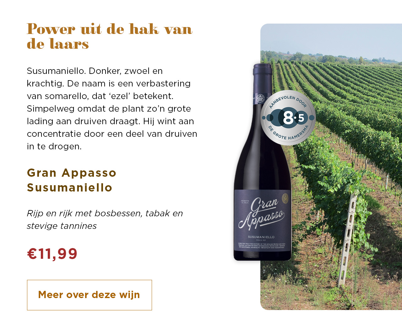Power uit de hak van de laars | Meer over deze wijn