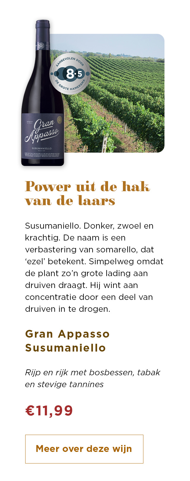 Power uit de hak van de laars | Meer over deze wijn