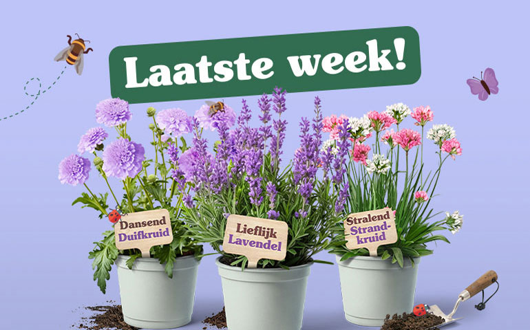 De laatste spaarweek!