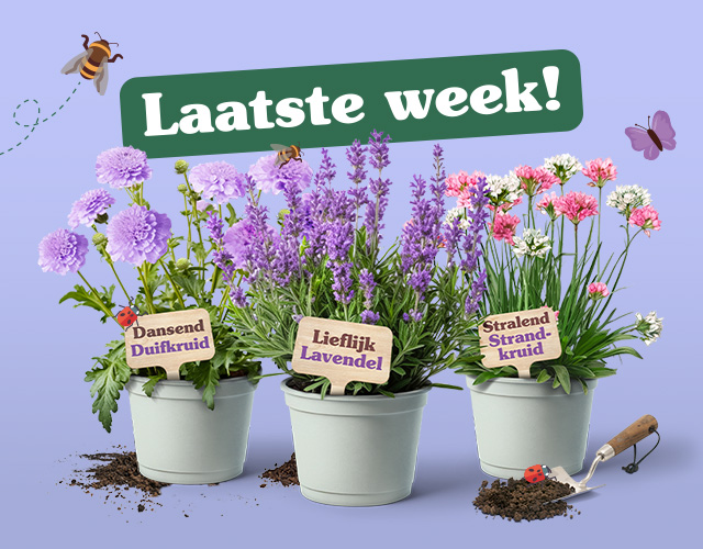 De laatste spaarweek!