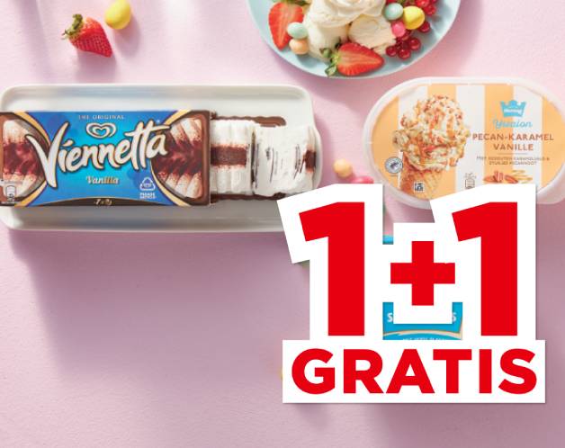 Hertog IJs of Ola Viennetta IJs | Bekijk aanbieding