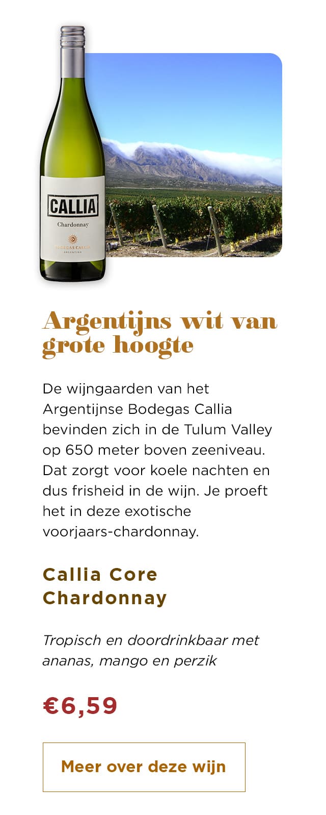Argentijns wit van grote hoogte | Meer over deze wijn