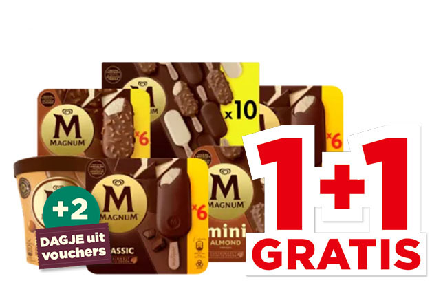 Alle Magnum IJs