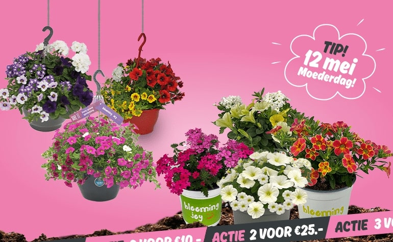 10 & 11 mei Tuinmarkt | Meer informatie