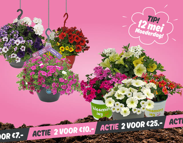 10 & 11 mei Tuinmarkt | Meer informatie