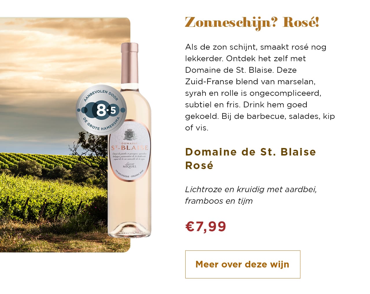 Zonneschijn? Rosé! | Meer over deze wijn