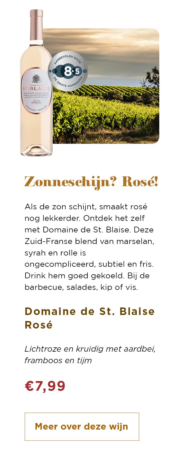 Zonneschijn? Rosé! | Meer over deze wijn