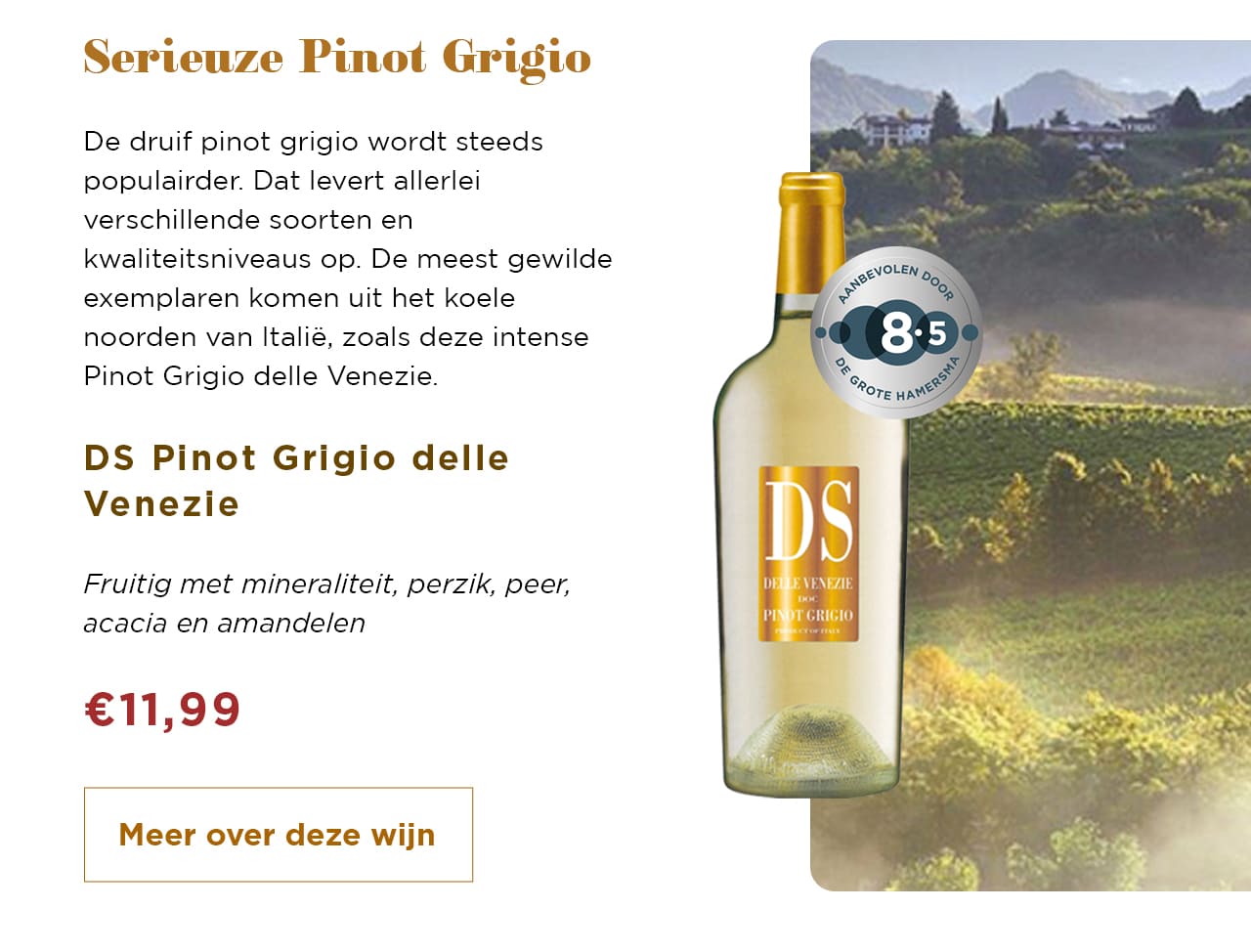 Serieuze Pinot Grigio | Meer over deze wijn