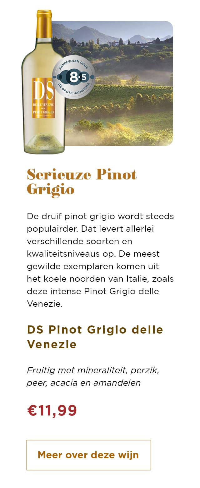 Serieuze Pinot Grigio | Meer over deze wijn