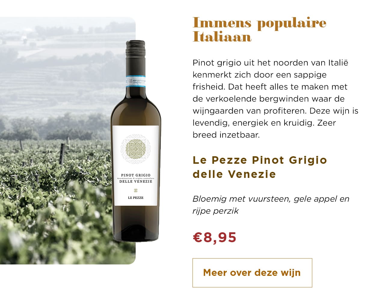 Immens populaire Italiaan | Meer over deze wijn