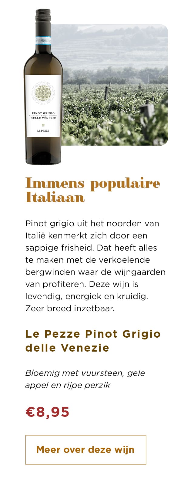 Immens populaire Italiaan | Meer over deze wijn