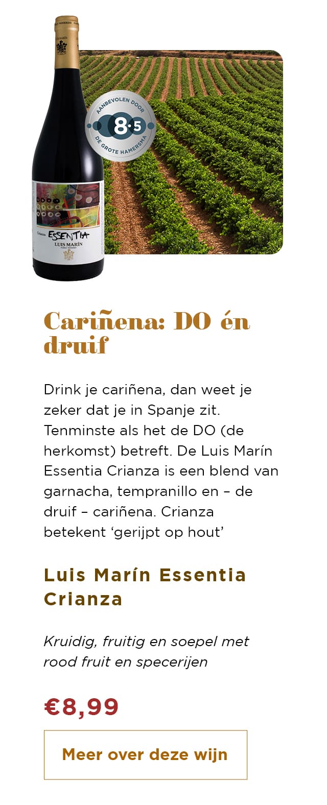 Cariñena: DO én druif | Meer over deze wijn