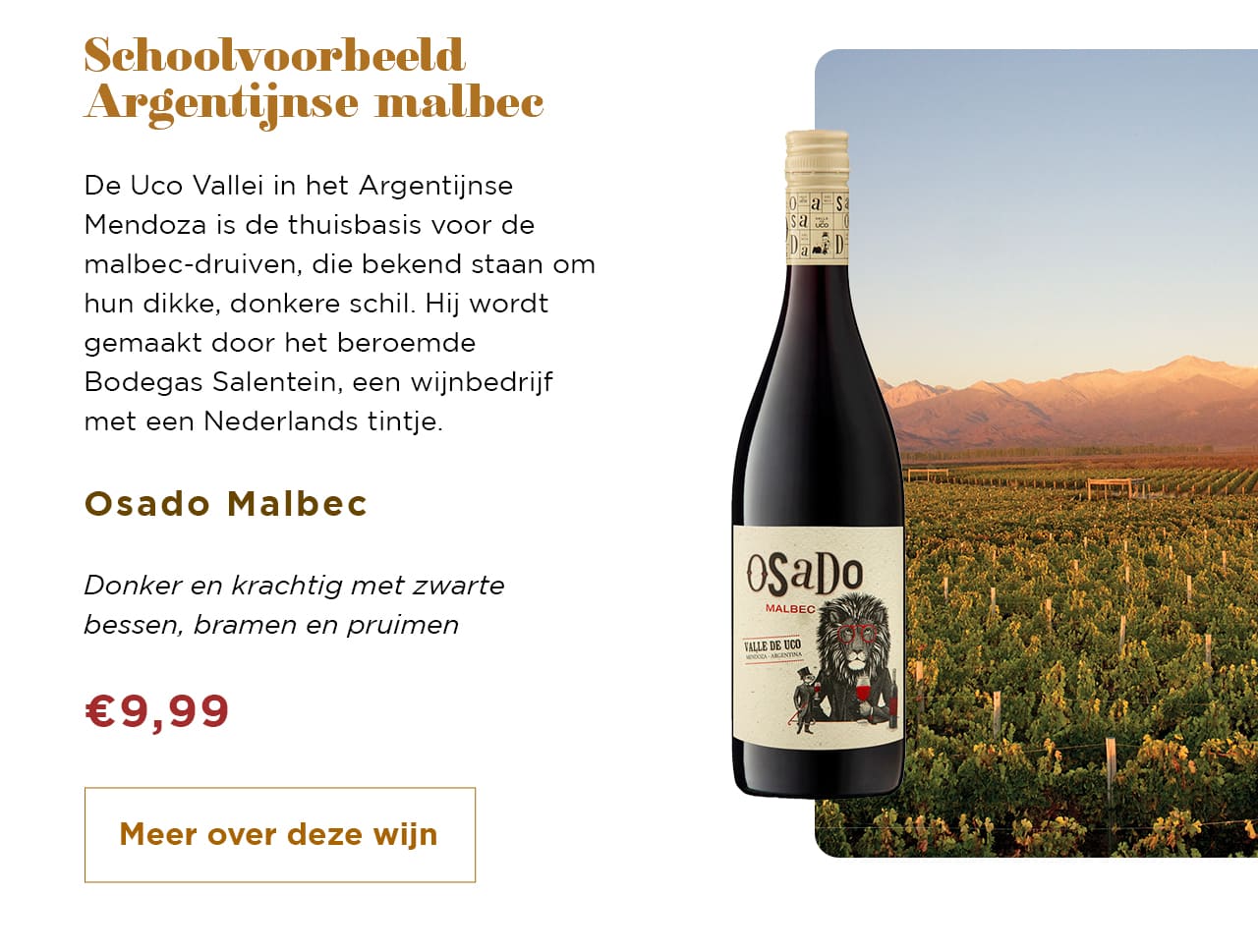 Osado Malbec | Meer over deze wijn