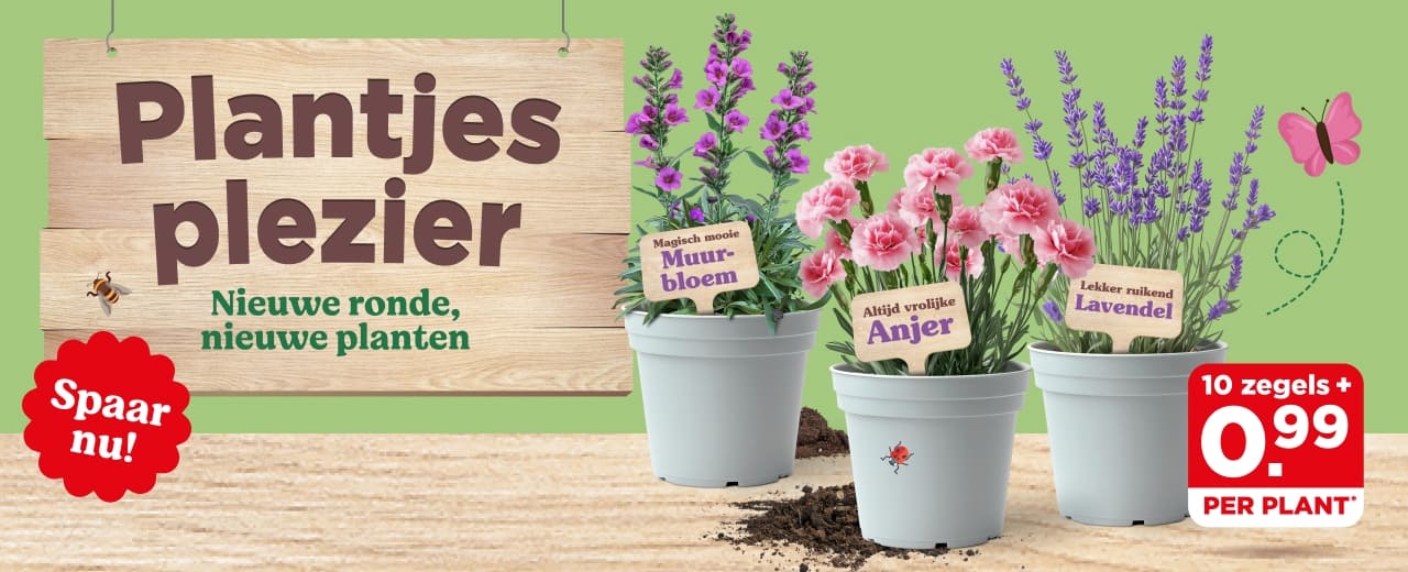 Plantjesplezier | Ontdek spaaractie