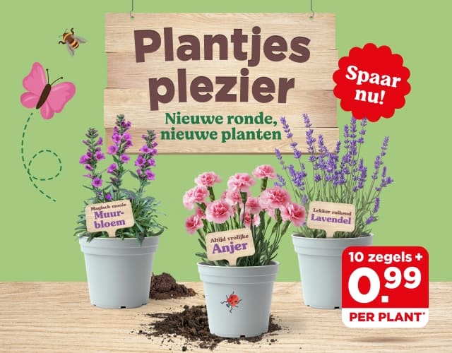 Plantjesplezier | Ontdek spaaractie