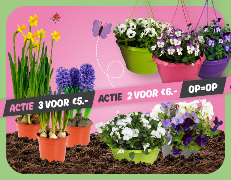Tuinmarkt vanaf a.s. donderdag | Meer informatie