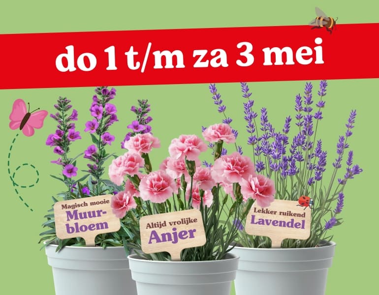 Haal je plantjes op | Meer info