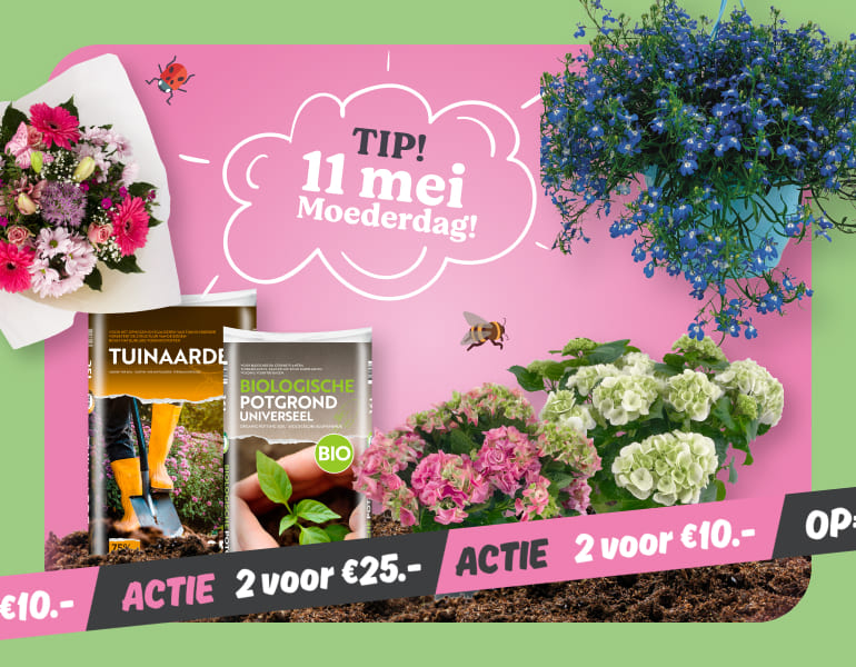 Tuinmarkt | Meer informatie