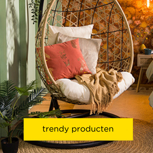 Trendy producten