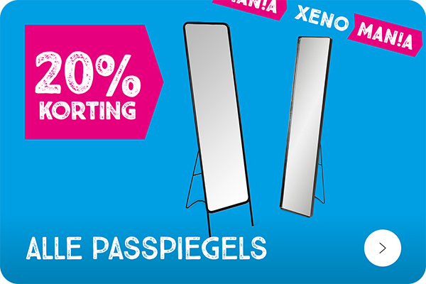 Passpiegels