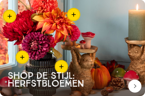 Herfstbloemen