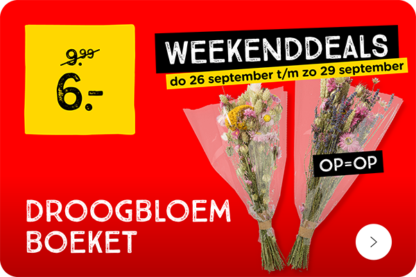 Droogbloemen