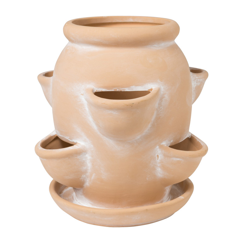 Aardbeienplant pot Aardbeienplant pot