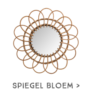 Spiegel rotan lijst